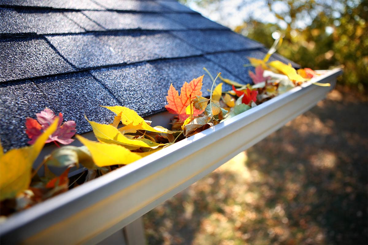 Clogged gutters with leaves