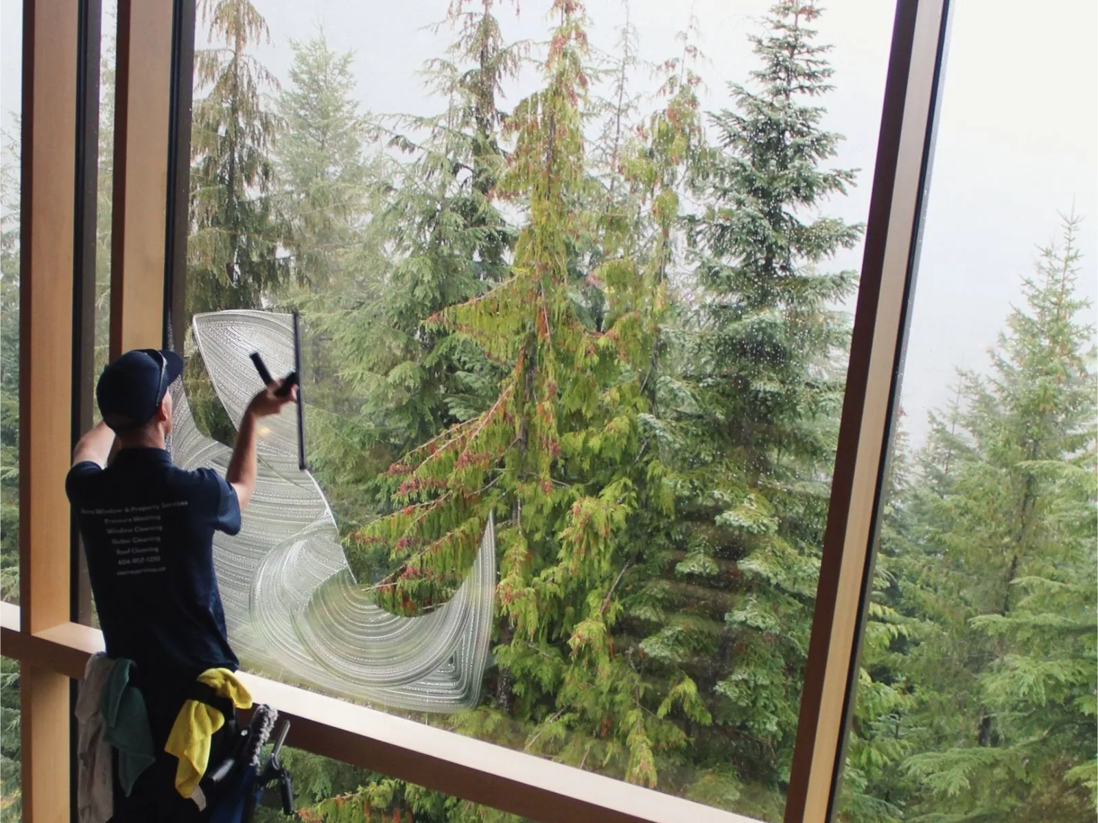 Professional cleaning the window